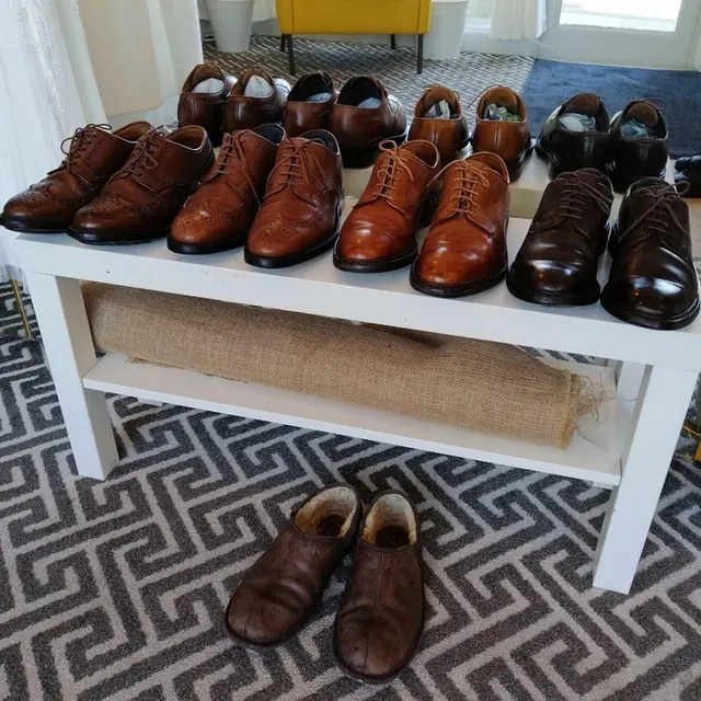 A row of polished brown brogues on a shelf